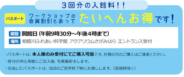 とてもお得なパスポートがおすすめ